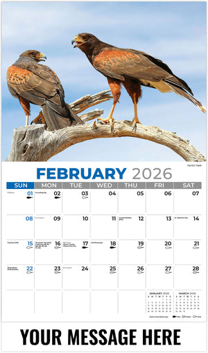 North American Wildlife - 2026 Promotional Calendar