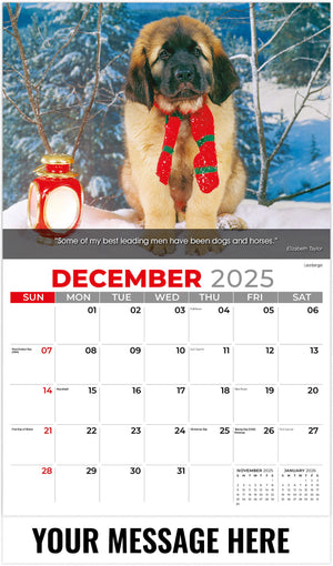 Dogs: Man's Best Friends - 2026 Promotional Calendar