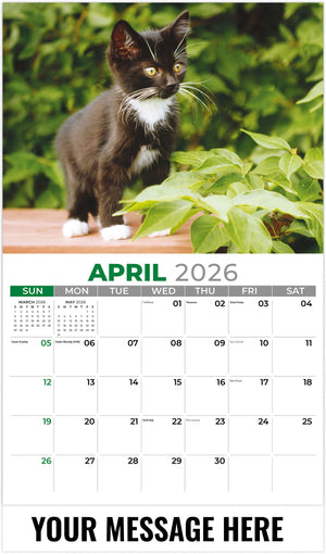 Kittens - 2026 Promotional Calendar