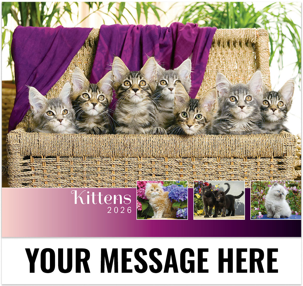 Kittens - 2026 Promotional Calendar