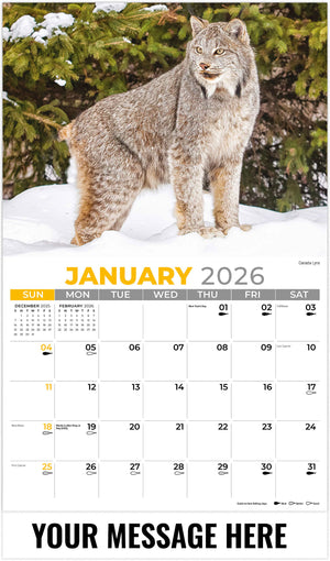 North American Wildlife - 2026 Promotional Calendar