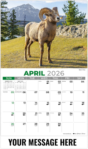 North American Wildlife - 2026 Promotional Calendar