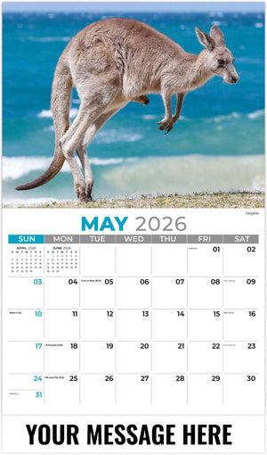 International Wildlife - 2026 Promotional Calendar