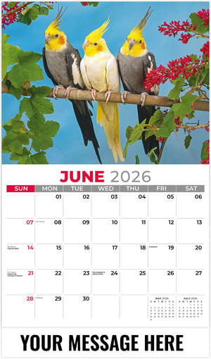 Pets - 2026 Promotional Calendar