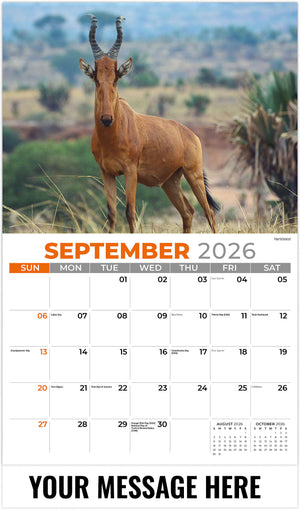 International Wildlife - 2026 Promotional Calendar