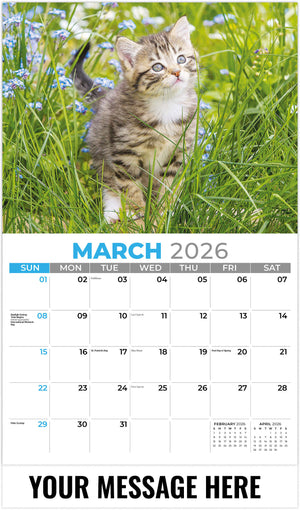 Kittens - 2026 Promotional Calendar