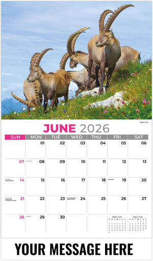 International Wildlife - 2026 Promotional Calendar