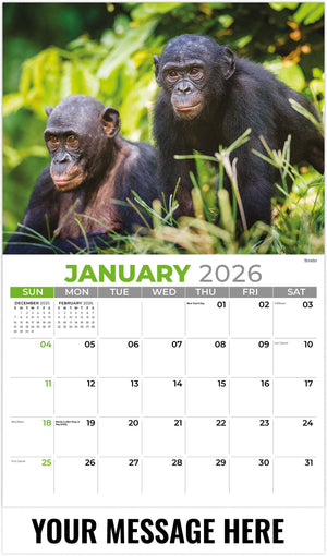 International Wildlife - 2026 Promotional Calendar