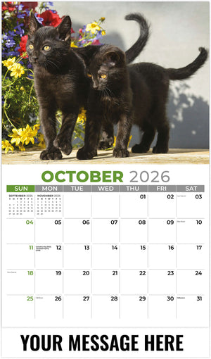 Kittens - 2026 Promotional Calendar