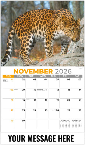 International Wildlife - 2026 Promotional Calendar