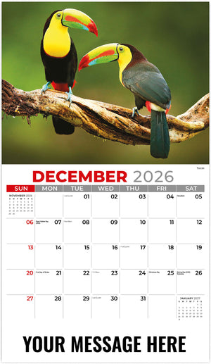 International Wildlife - 2026 Promotional Calendar