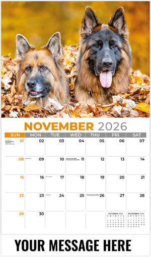 Pets - 2026 Promotional Calendar