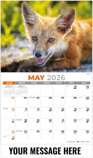 North American Wildlife - 2026 Promotional Calendar