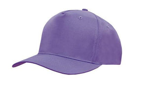 5 Panel Budget Cap - Purple