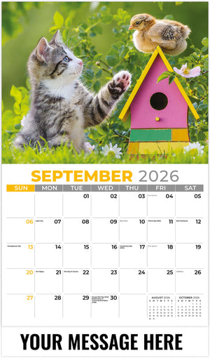 Kittens - 2026 Promotional Calendar