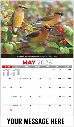 Garden Birds - 2026 Promotional Calendar