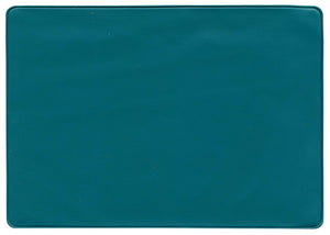 Insurance Card Holder - Teal