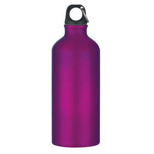 20 Oz. Aluminum Bike Bottle