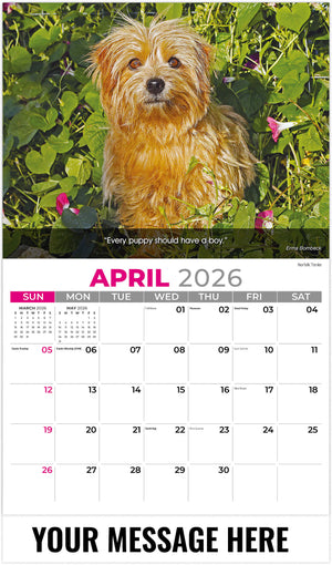 Dogs: Man's Best Friends - 2026 Promotional Calendar